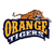 ORANGE TIGERS OFFICIAL TEAM FOR VIDARBHA PREMIER LEAGUE - Home
